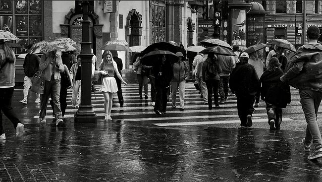 Photographer Елена Гонтаренко. Portfolio. 3. IMG_2574.jpeg