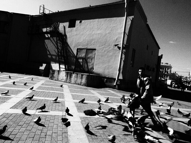 Photographer Елена Гонтаренко. Portfolio. 3. IMG_0731.jpeg